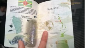 多米尼克护照内页