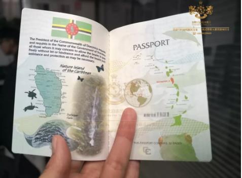 多米尼克护照内页