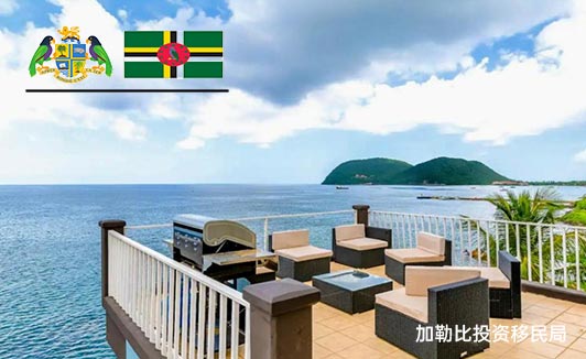 多米尼克移民项目