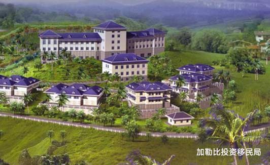 圣卢西亚教育制度2