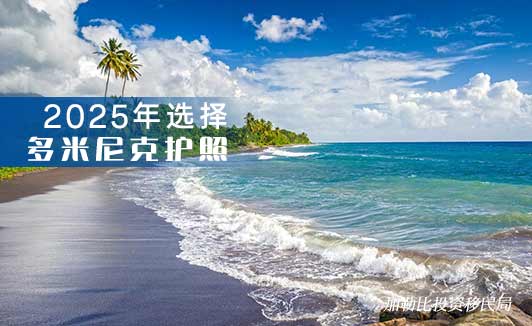多米尼克护照