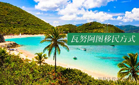 瓦努阿图护照项目全解析，DSP、VCP、CIIP改怎么选？