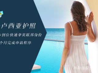 探索圣卢西亚移民：实现梦想的天堂