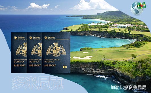 多米尼克护照申请