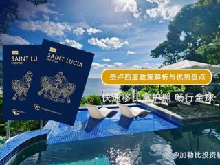 移民到圣卢西亚：政策解析与优势盘点