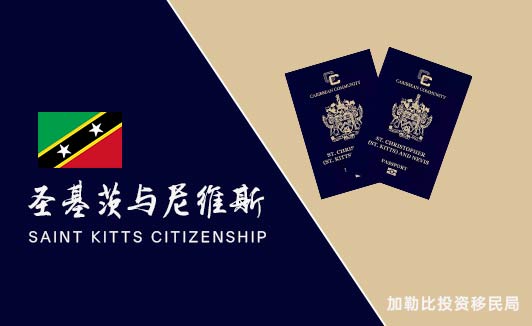 移民到圣基茨条件