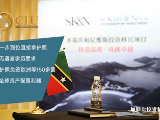 快速移民新选择：如何通过圣基茨护照项目实现全球自由