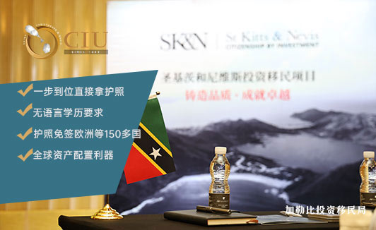 快速移民新选择：如何通过圣基茨护照项目实现全球自由