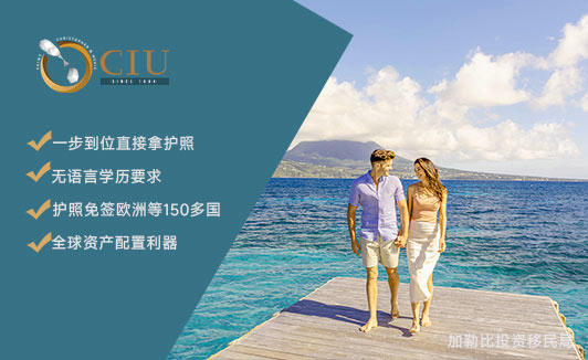 如何通过圣基茨护照项目实现全球自由