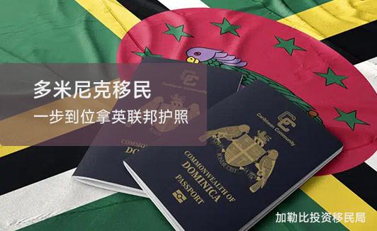 申请多米尼克移民：简单快捷的移民之路