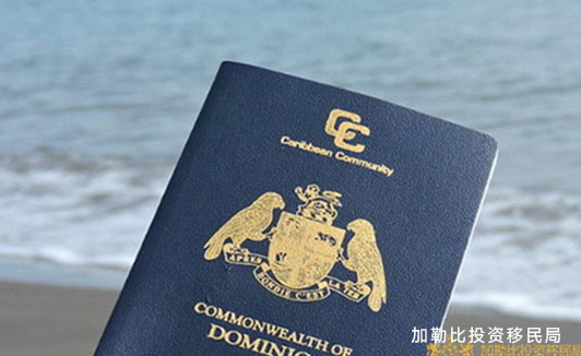 安提瓜移民与多米尼克移民项目对比分析
