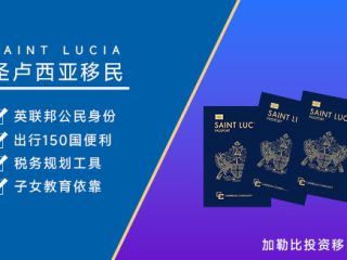 解锁全球自由与财富密码：圣卢西亚投资移民全解析