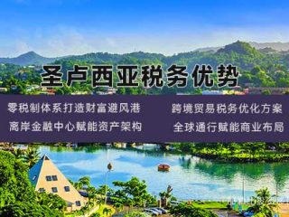 圣卢西亚护照税务优势分析：全球高净值人士的财富管理利器