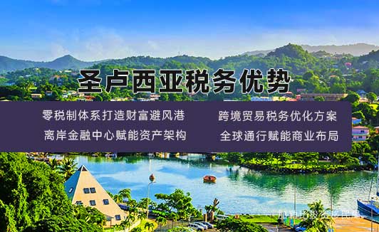 圣卢西亚护照税务优势分析：全球高净值人士的财富管理利器