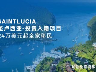 解锁圣卢西亚移民税务优势:高净值人士资产护城河