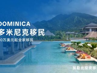 多米尼克移民费用明细：2025年高性价比护照项目全解析