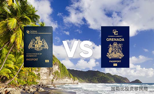 终极对比：多米尼克vs格林纳达移民哪个好？2025年深度解析