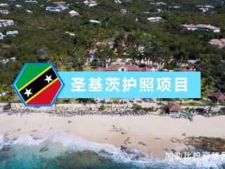  圣基茨护照：全球高净值家庭的“黄金通行证”