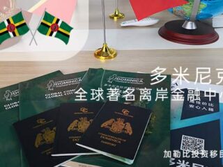 多米尼克移民税务优势详解：2025年全球财富管理的新选择