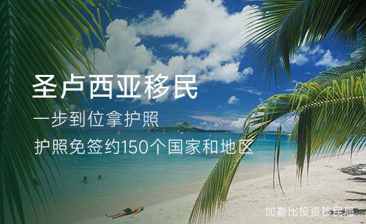 圣卢西亚护照办理