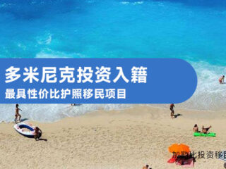 多米尼克捐款移民分析：机遇与挑战
