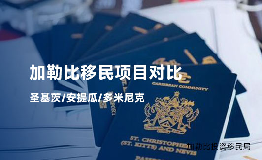 圣基茨与其他CBI项目（如安提瓜、多米尼克）的对比分析