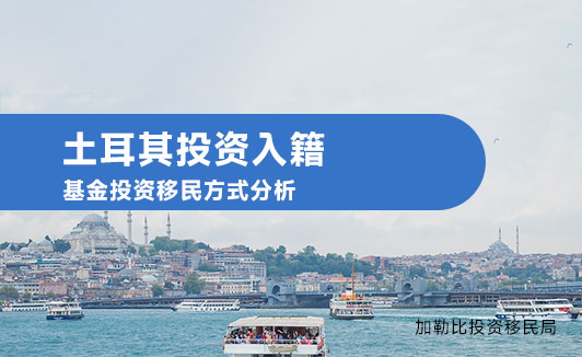2025年土耳其基金移民