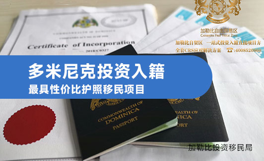 多米尼克捐款移民分析