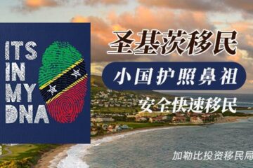 抢跑2025！圣基茨移民新政大揭秘，子女学历要求全面取消