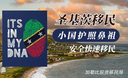 圣基茨移民新政