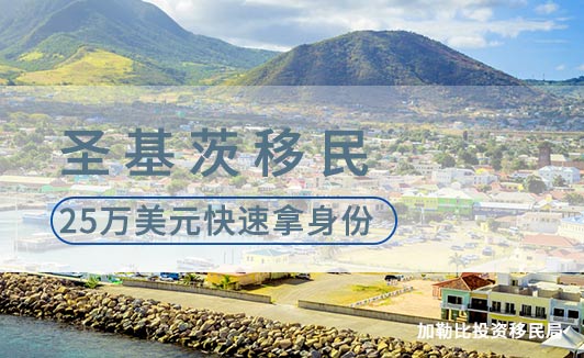 圣基茨移民项目