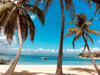 加勒比移民护照：如何选择更适合自己的第二身份？