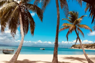 加勒比移民护照：如何选择更适合自己的第二身份？