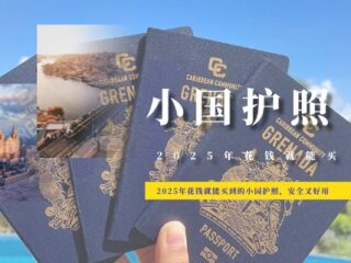 2025年花钱就能买到的小国护照，安全又好用