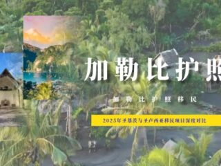 2025年圣基茨与圣卢西亚移民项目深度对比