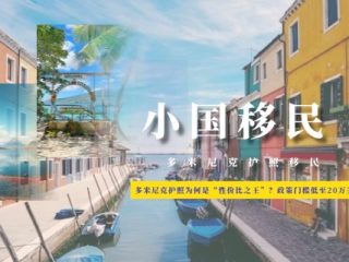 多米尼克护照为何是“性价比之王”？政策门槛低至20万美元！