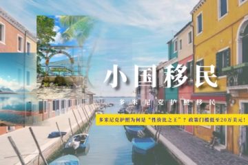 多米尼克护照为何是“性价比之王”？政策门槛低至20万美元！