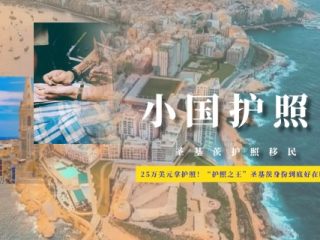 25万美元拿护照！“护照之王”圣基茨身份到底好在哪？