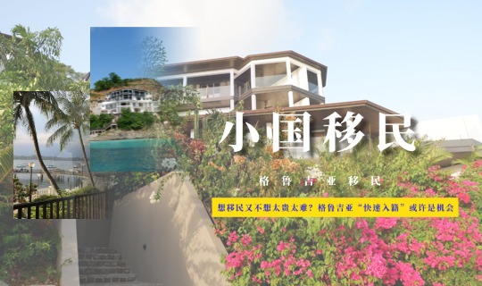 格鲁吉亚入籍项目2