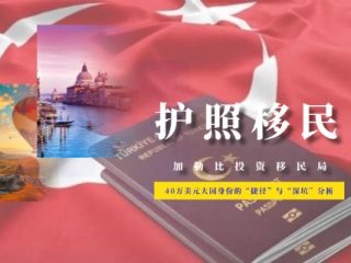 土耳其护照：40万美元大国身份的“捷径”与“深坑”分析