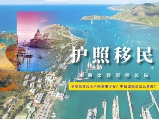 圣基茨对比圣卢西亚哪个好？申请流程是怎么样的？