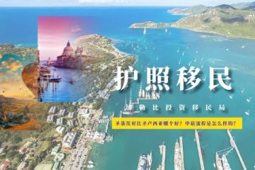 圣基茨对比圣卢西亚哪个好？申请流程是怎么样的？