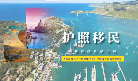圣基茨对比圣卢西亚哪个好？申请流程是怎么样的？