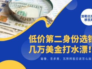 瑙鲁、圣多美、瓦努阿图：低价第二身份选错，几万美金直接打水漂！