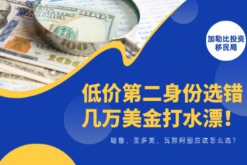 瑙鲁、圣多美、瓦努阿图：低价第二身份选错，几万美金直接打水漂！