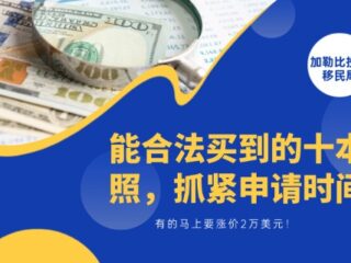 你能合法买到的十本护照，有的马上要涨价2万美元！