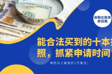 你能合法买到的十本护照，有的马上要涨价2万美元！