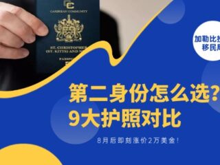 第二身份怎么选？9大护照对比，8月后即刻涨价2万美金！