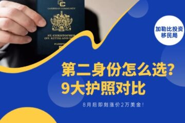 第二身份怎么选？9大护照对比，8月后即刻涨价2万美金！