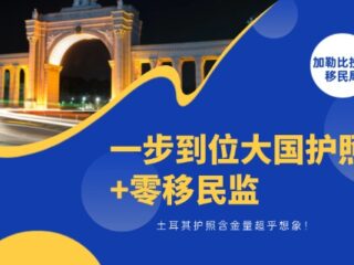 一步到位大国护照+零移民监，土耳其护照含金量超乎想象！